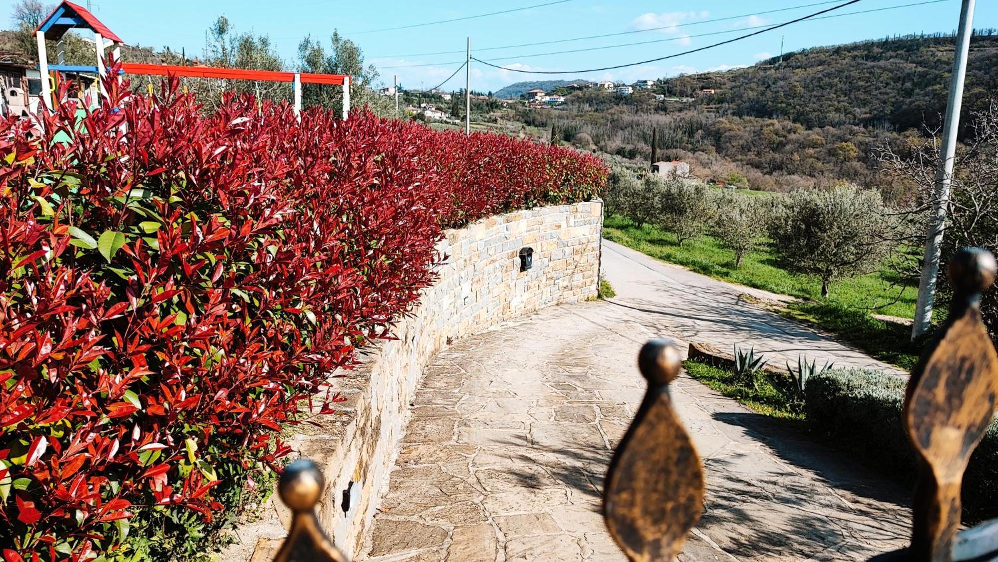 Apartment Wine & Olive Oil Mofardin Koper Exterior foto